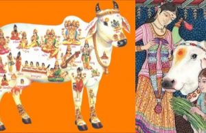 The Role Of The Cow In Hinduism: Understanding Its Sacred Status