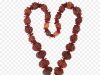 The Power Of Rudraksha: Sacred Beads In Hinduism And Yoga