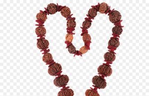The Power Of Rudraksha: Sacred Beads In Hinduism And Yoga