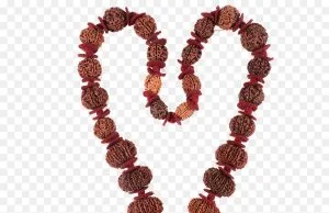 The Power Of Rudraksha: Sacred Beads In Hinduism And Yoga