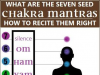 The Power Of Bija Mantras: Seed Sounds For Healing And Transformation