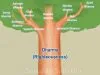 Living A Life Of Righteousness In Hinduism: Understanding The Role Of Dharma