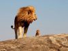 Patience And Resilience: Insights From Hindu Time Cycles