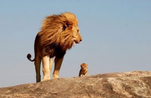 Patience And Resilience: Insights From Hindu Time Cycles