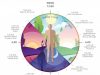 Living In Rhythm: Harmonizing With The Natural Cycles Of Time