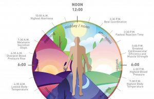 Living In Rhythm: Harmonizing With The Natural Cycles Of Time