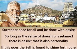 The Pathways Of Advaita Vedanta: Discovering Self-realization Through Knowledge, Devotion, And Action