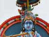 Hinduism & The Environment: A Deep Respect For Nature & All Living Things