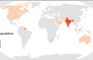 Hinduism’s Many Paths: A Journey Through Regional Practices & Philosophies