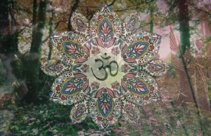 Hinduism And The Environment: A Symbiotic Relationship Of Respect And Harmony With Nature
