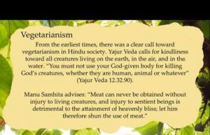 Hinduism And Vegetarianism: A Sustainable Food Choice For A Healthy Planet