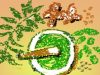 Ayurveda For Eco-conscious Living: Ancient Practices For Modern Sustainability