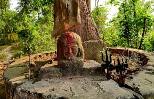 The Sacred Groves of India: Preserving Nature’s Sanctuaries The Sacred Groves of India