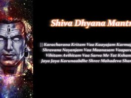 Karacharana Kritam Vaa (Shiva Dhyana Mantra)