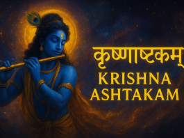 Krishna Astakam